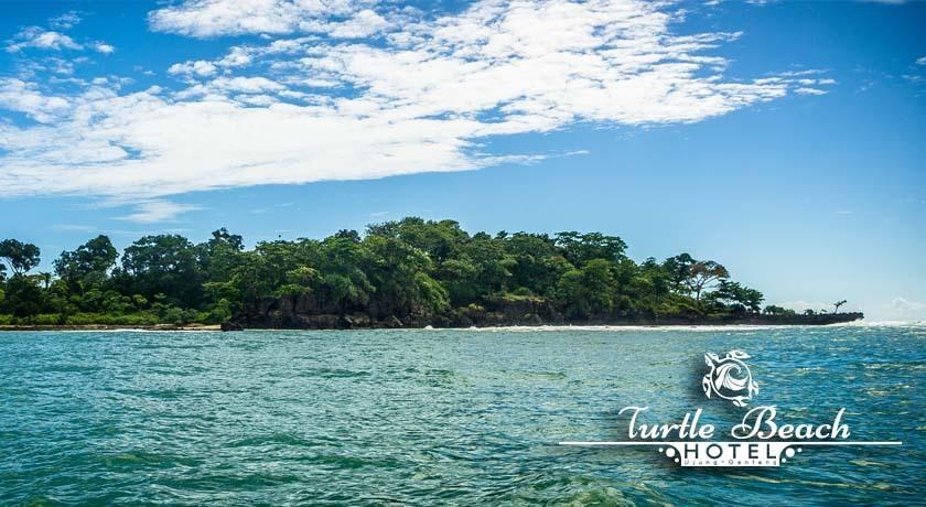Turtle Beach Hotel Ujunggenteng Phòng bức ảnh